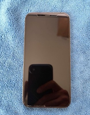 iPhone 12 Pro, 128 GB   defekt (Wasserschaden), Face ID & Kamera betroffen