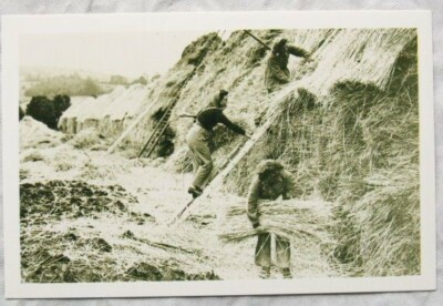 c.1980s PC Land Girls Thatching Ricks at Cheltenham 1943