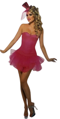 Ladies Pink Burlesque Beauty Costume