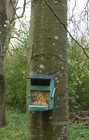 Bild 10 von 20