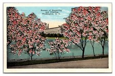 Vtg 1920s- Bureau of Engraving & Printing, Washington D.C. Postcard (UnPosted)