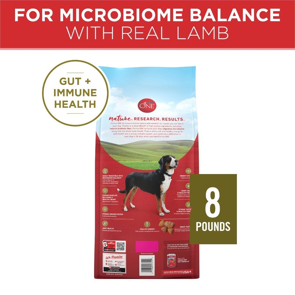 Lamb and Rice Formula Dry Dog Food 8 lb Bag for Adult Dogs Natural Recipe