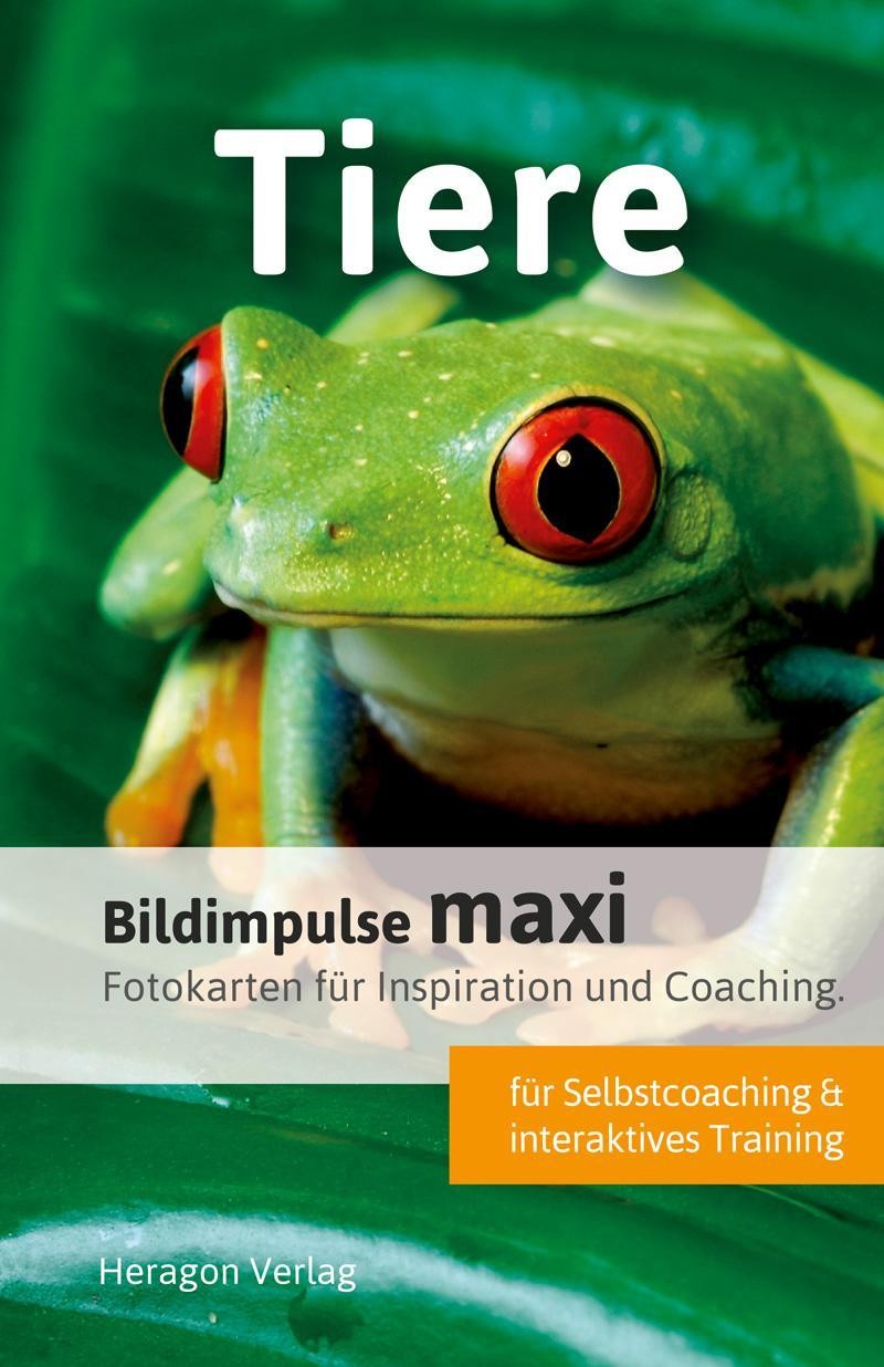 Bildimpulse maxi: Tiere Bodo Pack