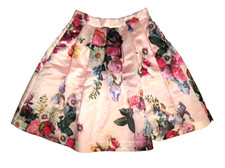 Ted Baker London FLOWTII Oil Painting Floral Print Full Skirt Pink Size 1 NwoT