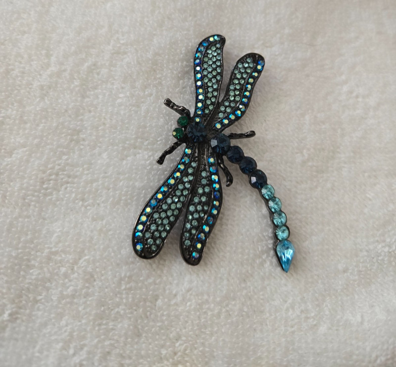 Rhinestone dragonfly pin