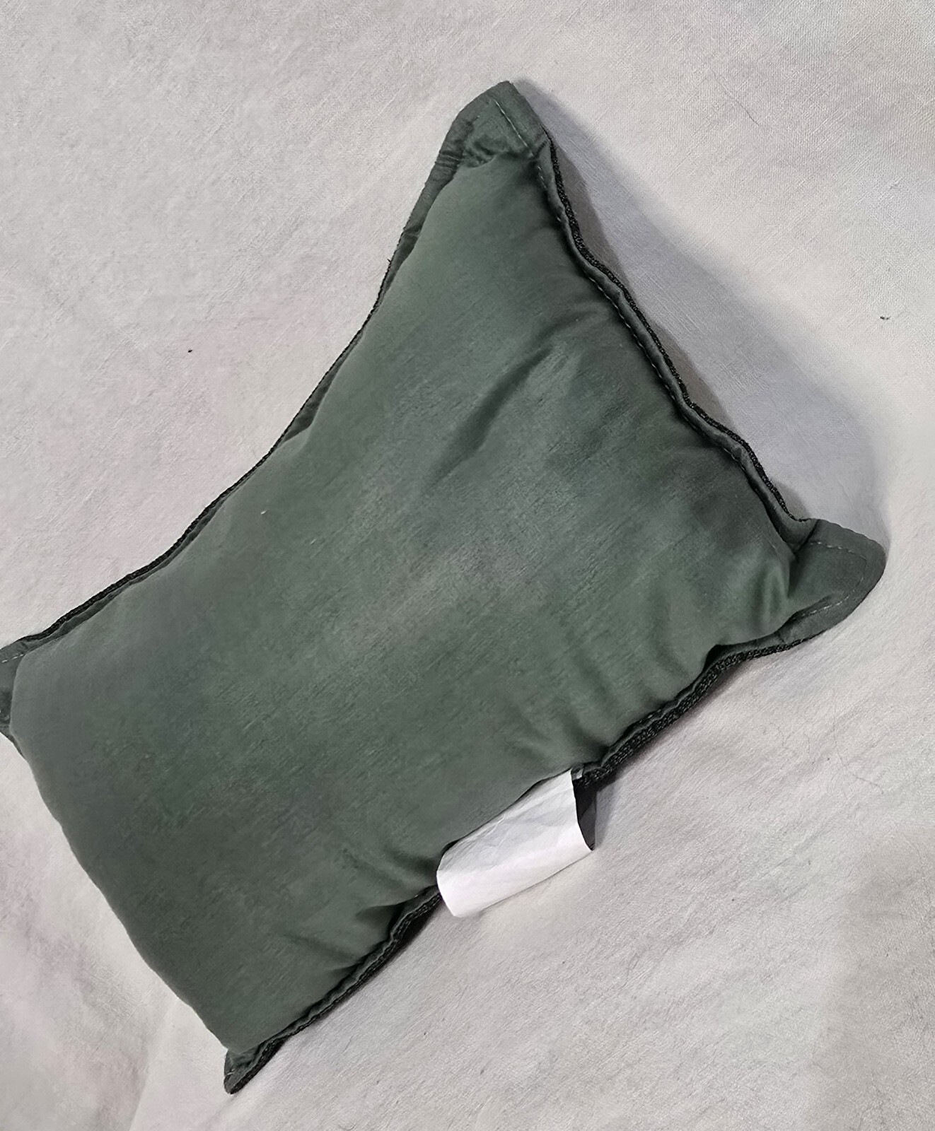 "Let Me Get This Straight My Grandchild Is A Cat?  Tapestry Pillow 9x12