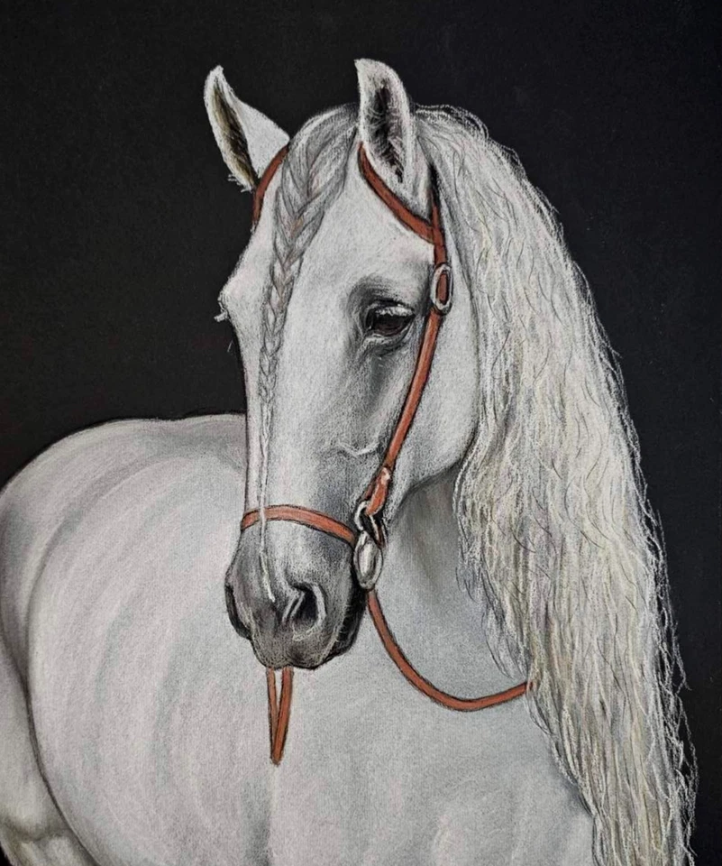 Retrato de caballo dibujo pastel A3 arte espíritu equino realista semental blanco Foto 3 de 4