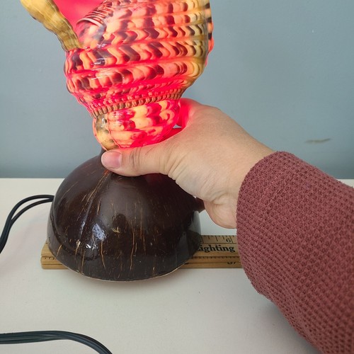 Vintage 10" Triton Conch Seashell Table Lamp Light TV Wood Base MCM Tiki Coconut - Picture 4 of 10
