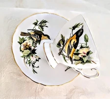 Vintage Royal Tuscan Bone China Teacup & Saucer – Audubon Birds Baltimore Oriole