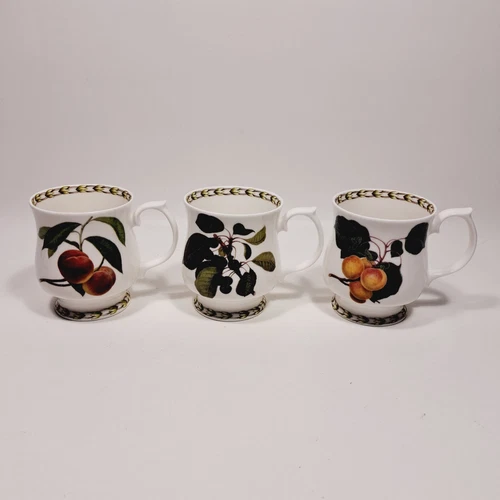 Vintage Queen's Fine Bone China Hookers Fruit Coffee Footed Cups Set Of 3