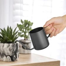 Small Watering Can Indoor Plants - 12 Oz Mini Metal Watering Can with Long Spout