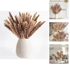 Natural Dried Pampas Grass Bouquet- 50 Pcs for Home Decor and Floral Arrangement