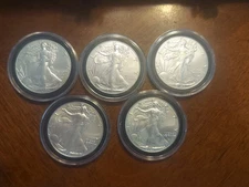 2023 lot (5) American Silver Eagle 1 Troy Oz .999 Fine Silver Coin