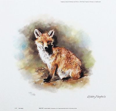 SIZE:23cm x 24cm NEW RARE MANDY SHEPHERD /"Grey Squirrel/" wildlife LTD ED SIGNED