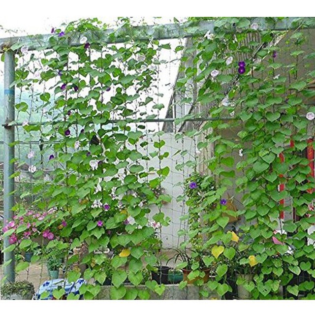 2Pack Durable Resuable Plant Trellis Netting Plant