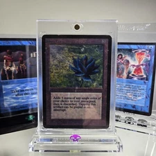 Magic The Gathering ONE Symbol Acrylic Display Stand  (PREMIUM QUALITY 💎)