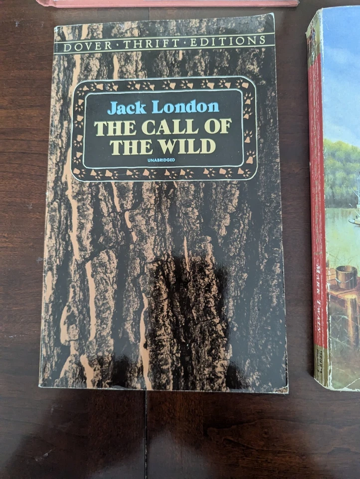 BULK LOT - Fiction - Mark Twain - Tom Sawyer Beowulf - Alcott - London Flanagan - Image 4 of 4