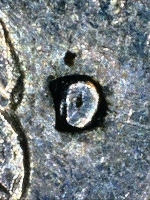 US Coins 1971 'D' Washington Quarter W/errors Filled Mint Mark  CLOSED AM,DDO