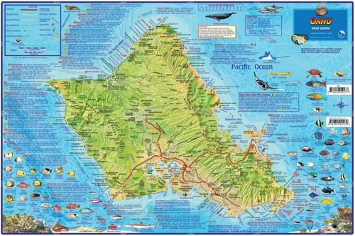 Oahu Hawaii Dive & Snorkeling Guide Laminated Map by Franko Maps - Foto 1 di 4