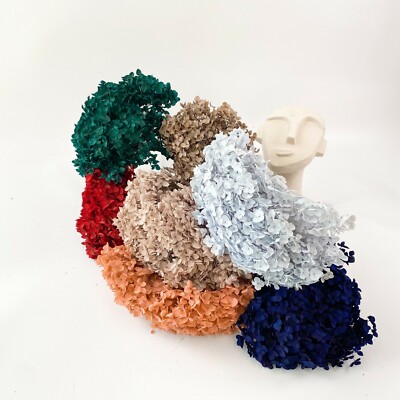 Preserved Annabelle Hydrangea Premium Natural Dried Flower Wedding Floral Decor