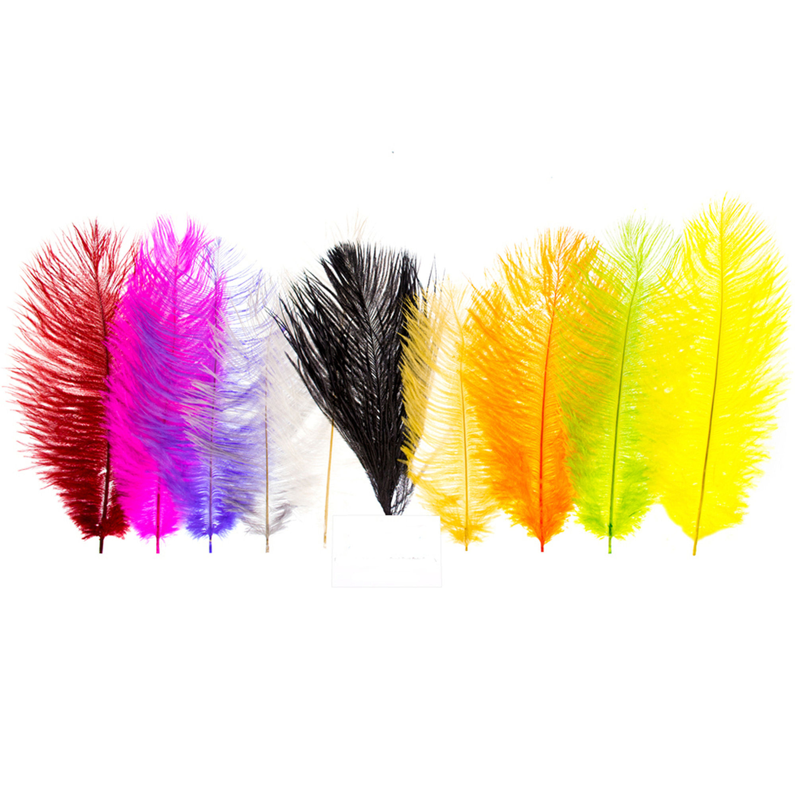 Feather - Ostrich Small Assorted- 10 Pack