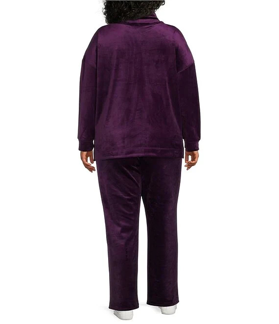 NWT * DILLARDS * WESTBOUND WOMAN * PURPLE * VELOUR * PULLOVER TOP