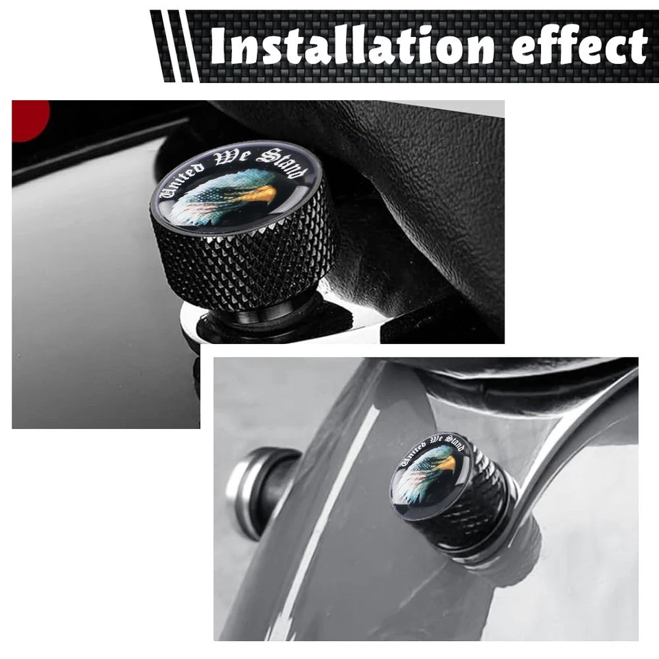 Tornillo de perno de asiento de guardabarros trasero calavera para Indian Chief Dark Horse Roadmaster Scout Foto 3 de 4