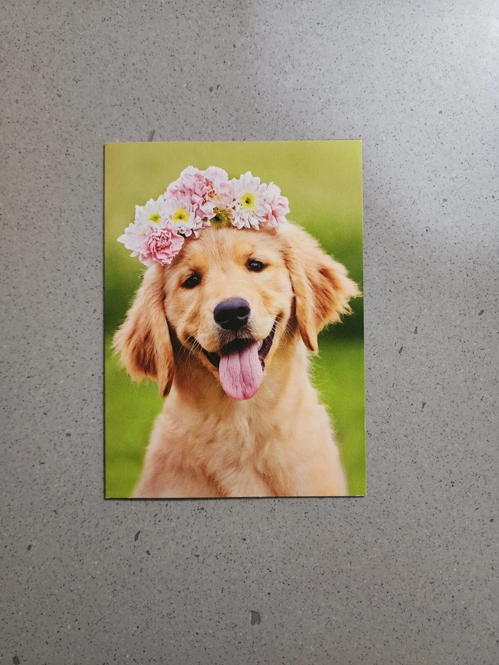 Tarjeta para ocasiones especiales para gatos y perros multiusos/cumpleaños/grado/retiro Avanti Press Foto 2 de 4