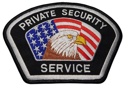 Pack of 3 Private Security Service USA Eagle Black Iron On Patch PLX-319