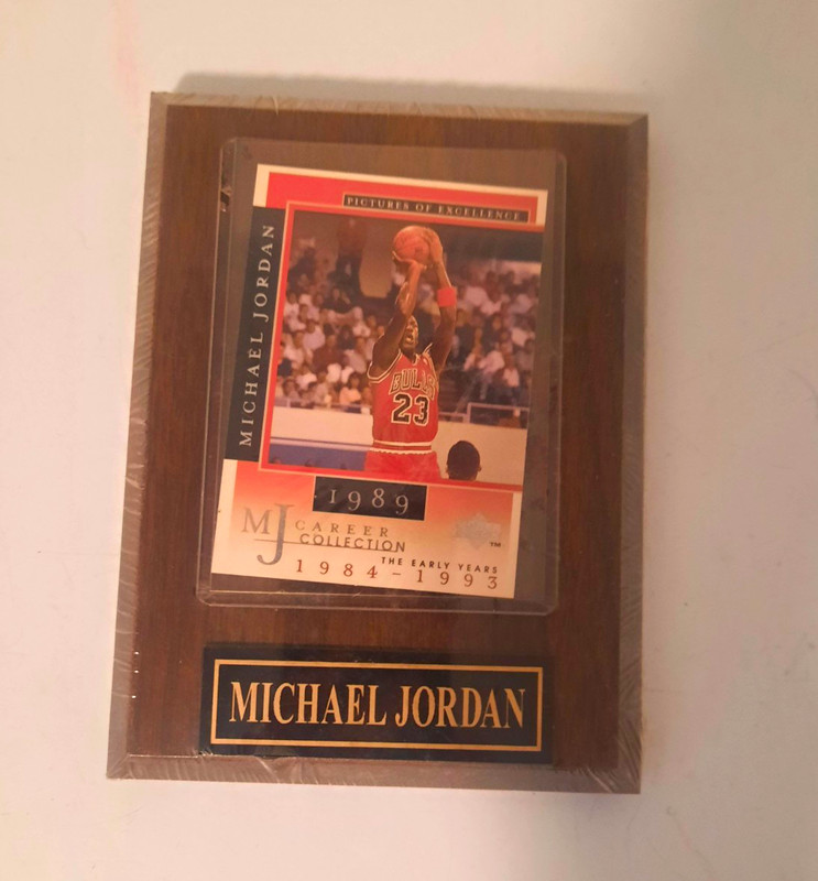 Michael Jordan 1989 Chicago Bulls Vintage Basketball Career Collection Plaque