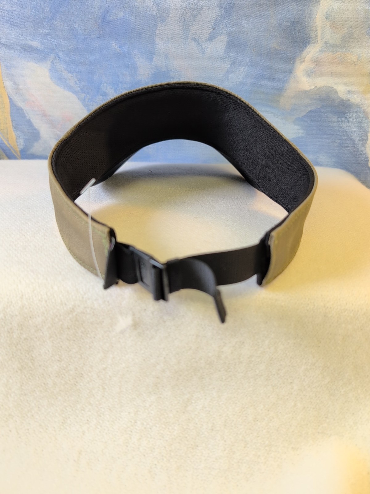 NEW! Patagonia Fitz Roy Trout Visor Fatigue Green thumbnail 3