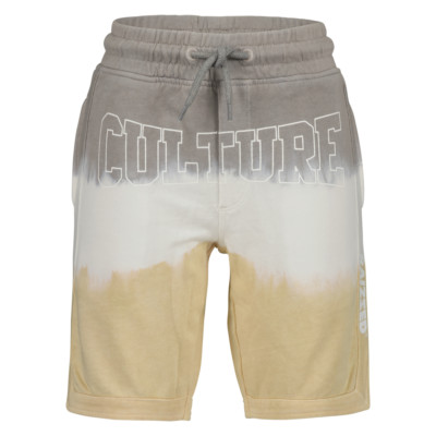RAIZZED Jungen Sweat Short kurze Hose BENSON grey fog Gr.128-176