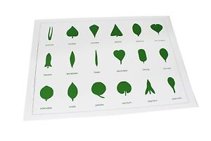 Geometric Cabinet Control Chart