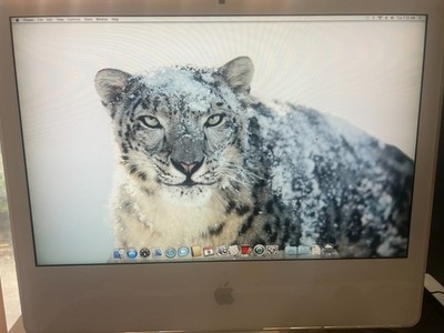 iMac 6,1