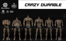 FREE SHIPPING   WORLDBOX 1/6 scale Male Action Figure Crazy Durable