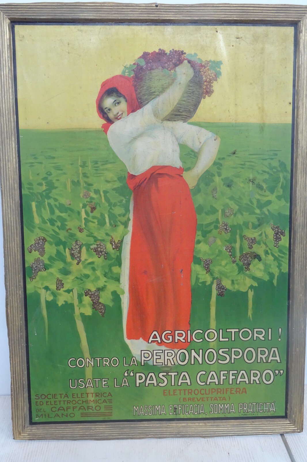 Foto 1 di 14
