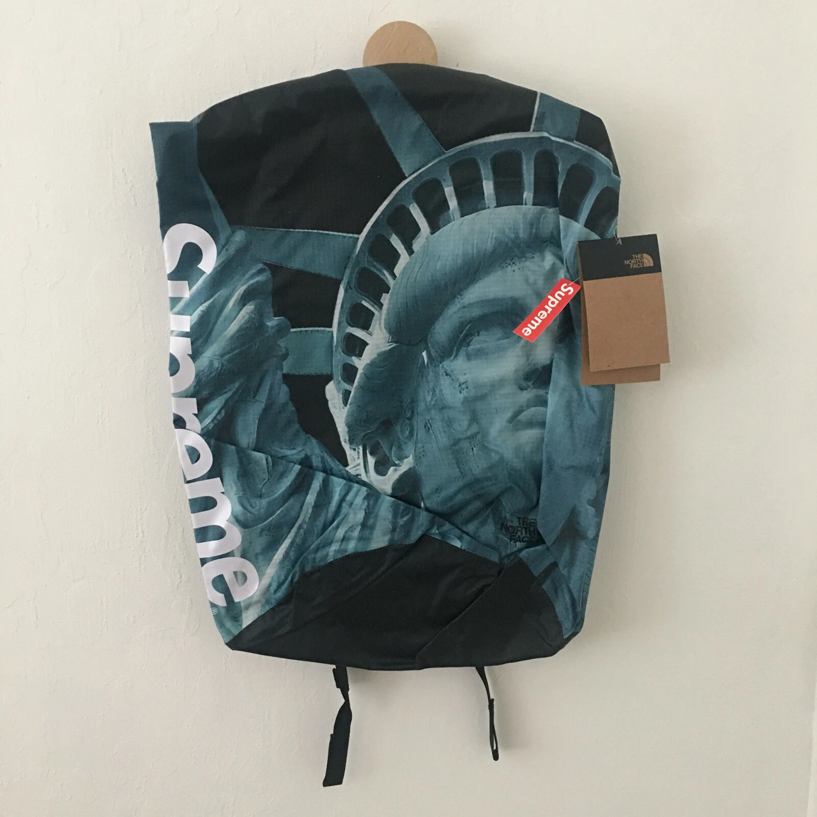 SUPREME x The North Face Statue of Liberty sac à dos imperméable top roulant NEUF