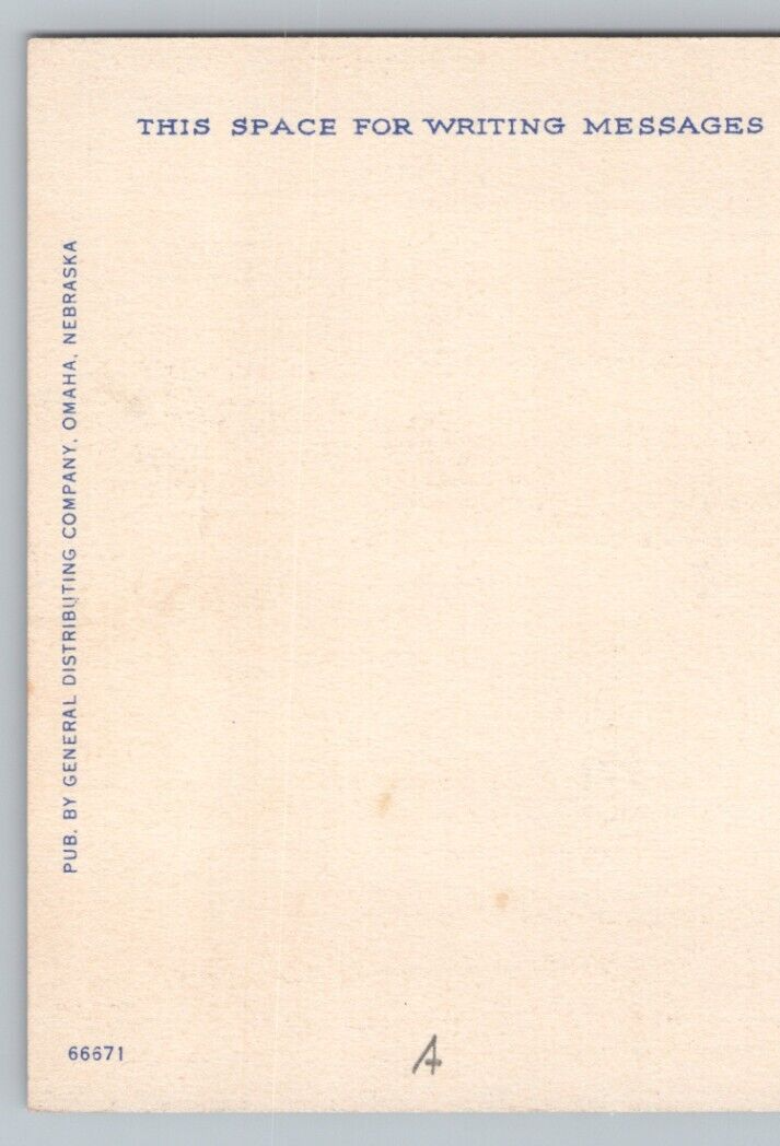 Postcard Omaha Nebraska Farnam St Showing People Autos Richmans US