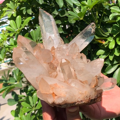 7.26LB A+++Large Natural white Crystal Himalayan quartz cluster /mineralsls - Picture 10 of 13