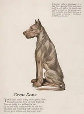 Great Dane Dog Print, Description and Poem - CUSTOM MATTED 8 x 10 - NEW