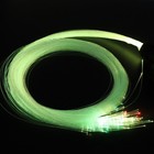 Bild 12 von 12