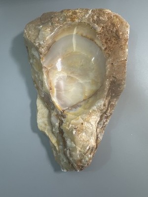 Große natürliche Achat / Onyx Scheibe im Host Rock - 18 cm Display Mineralien Präparat
