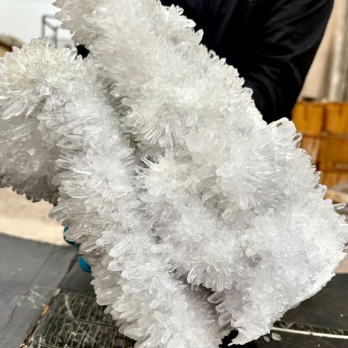 22.04LB Natural White Chrysanthemum Clear QUARTZ Crystal Cluster Point Specimen - 第 13/15 張圖片