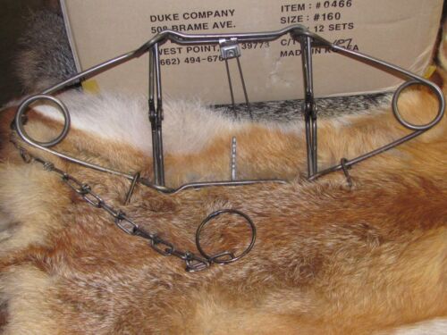 12 DUKE 160 BODY TRAPS RACCOON, MUSKRAT, MINK FISHER, GROUNDHOG new sale - 第 1/1 張圖片