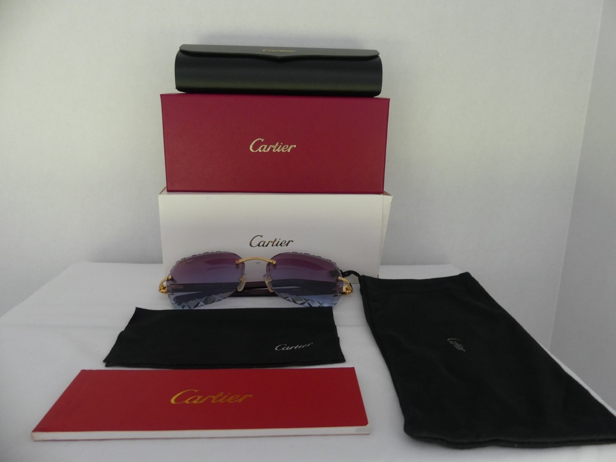 Cartier Sunglasses Buffalo Horn Made in France 140 B
