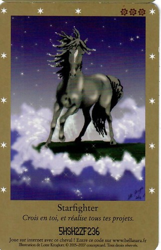 CARTE CARD Cheval Horse " BELLA SARA " EDITION DE BASE N° AUX CHOIX - Imagen 88 de 88