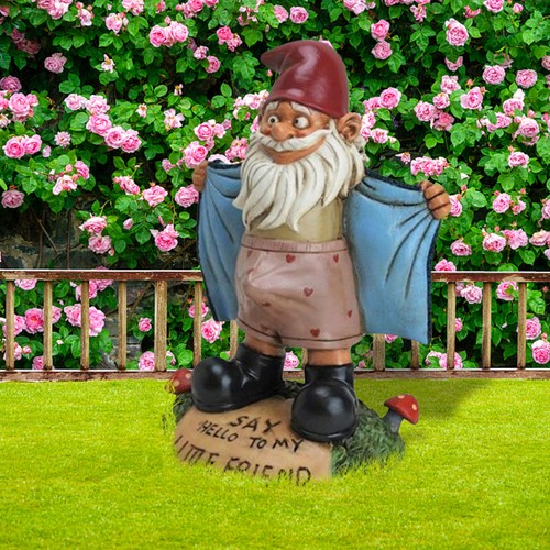 Naughty Garden Gnome Statue Funny Dick Up Pink Figurines Yard Lawn New Ornament - Picture 4 of 12