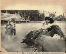 1981 Press Photo Riders chasing steer at San Antonio Charros, Texas - saa58152