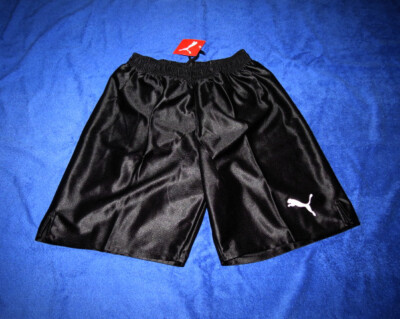 PUMA GlanzShorts Large Sporthose Herren Trainingshose Sportshorts Glanz Shorts