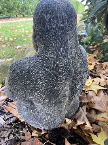 Gorilla Ape Monkey Statue Ornament Animal Concrete Cement Garden Australian Made - Picture 6 of 10